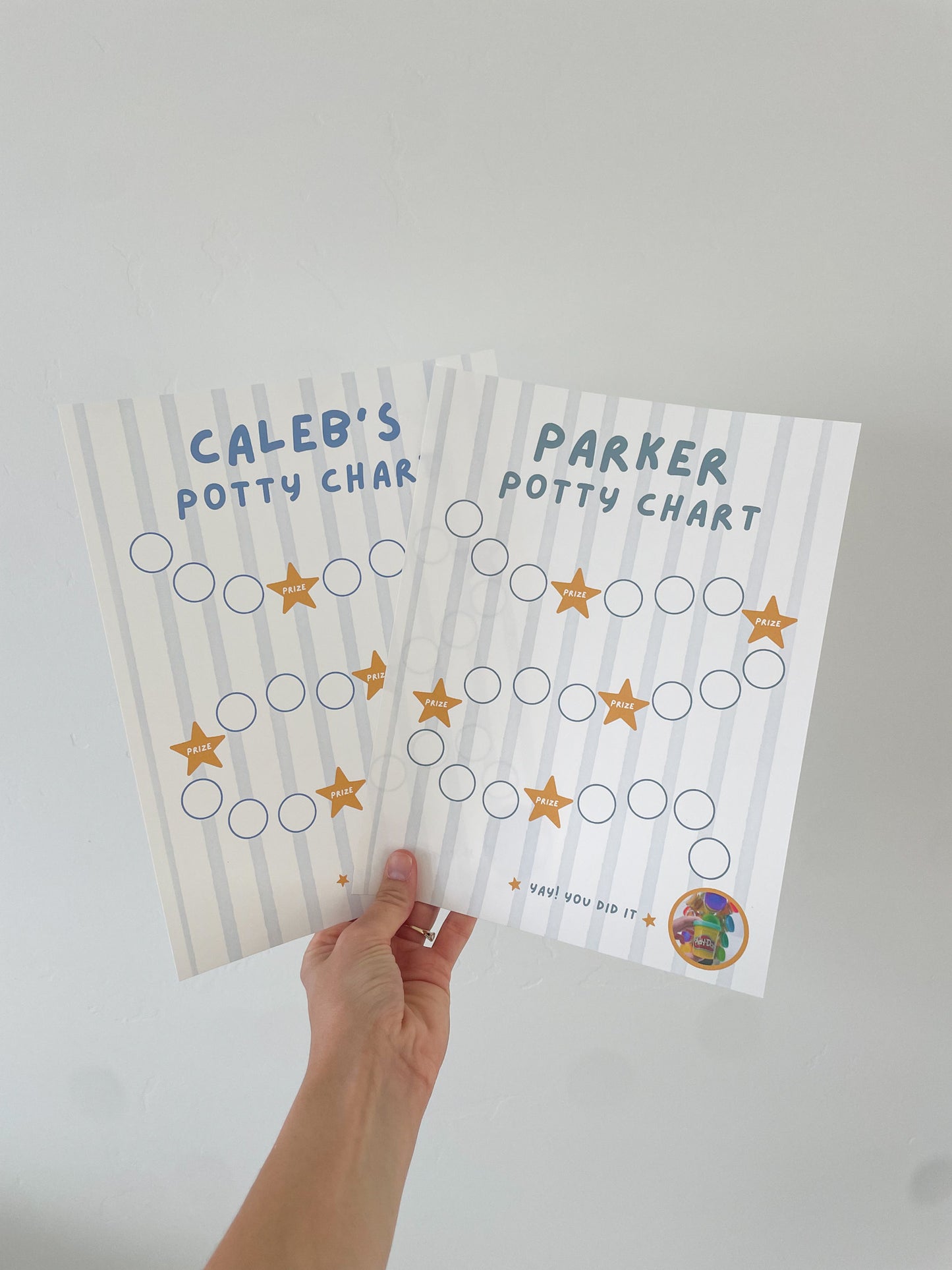 Printable Potty Training Chart