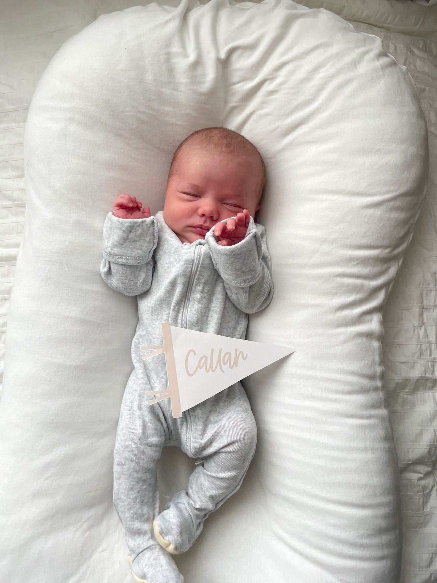 Printable Personalized Mini Pennant Flag - Birth Announcement Prop