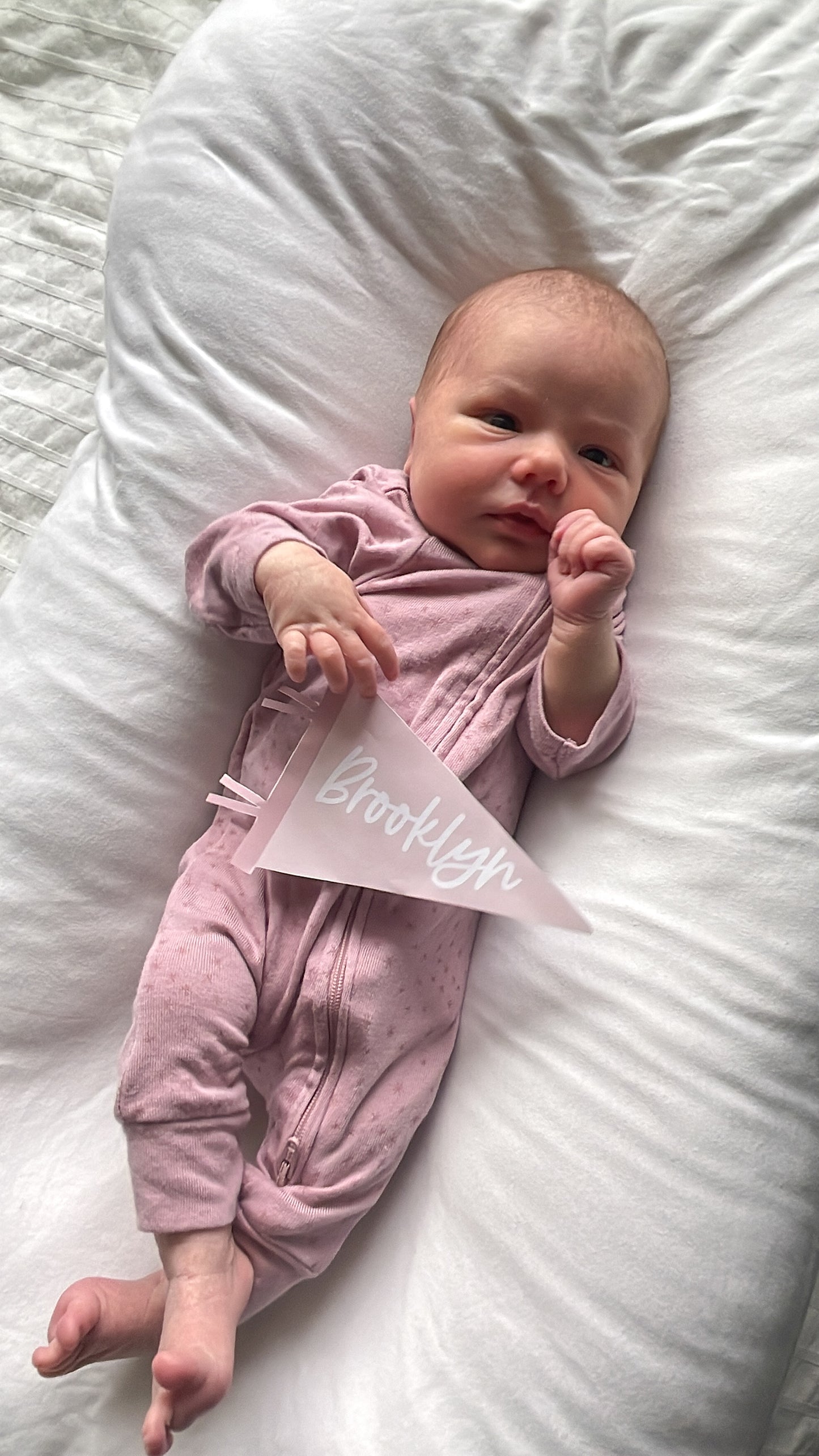 Printable Personalized Mini Pennant Flag - Birth Announcement Prop