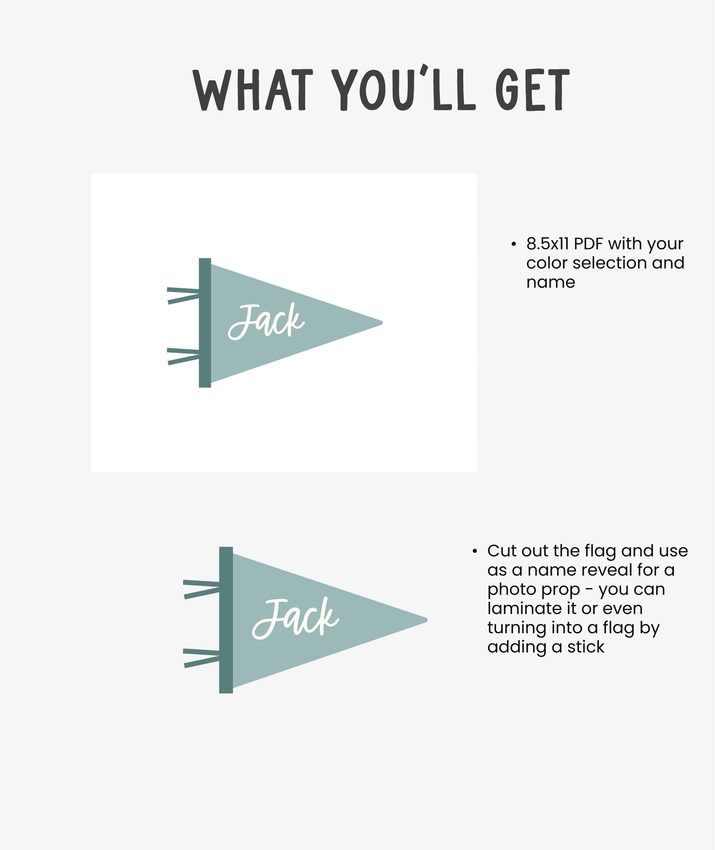 Printable Personalized Mini Pennant Flag - Birth Announcement Prop